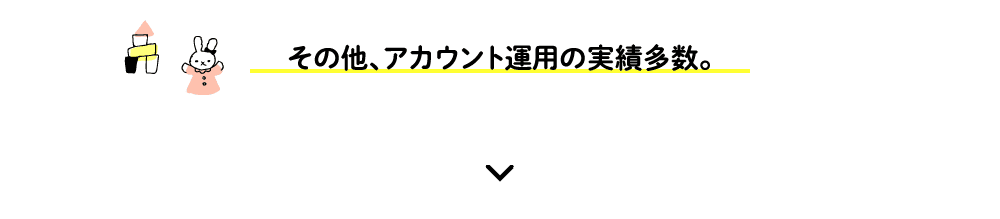 その他、アカウント運用の実績多数。